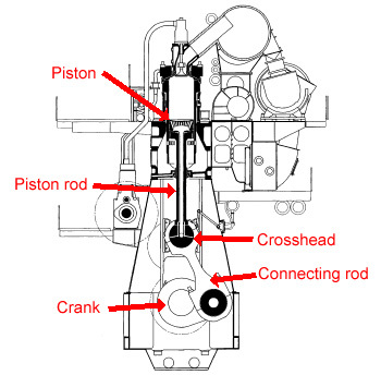 Cross-section diagram