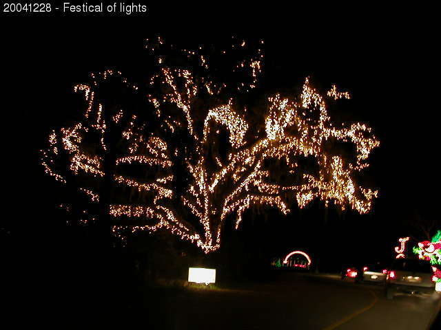 Festival of Lights