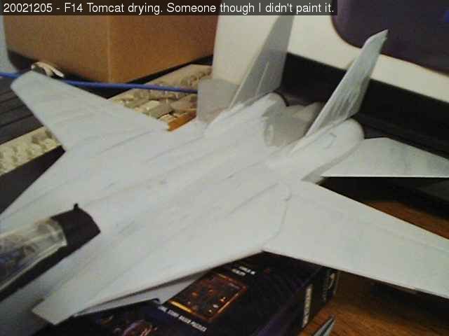 F14 Tomcat