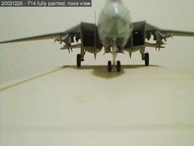 F14 Tomcat