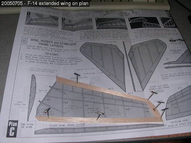 F-14 wing