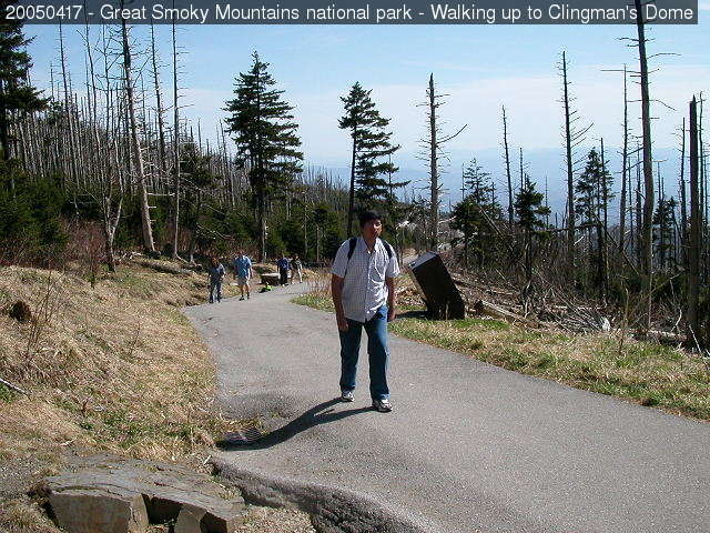 Clingman's Dome